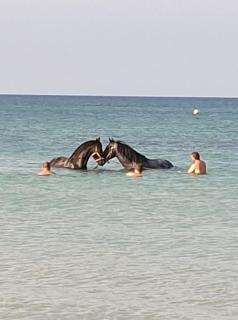 Sissi - Lecce - 3