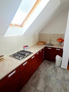 Apartman NIKOLINA - Saborsko - 1