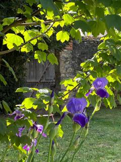 La Demeure d'Euphrosine - Fresnay-sur-Sarthe - 9