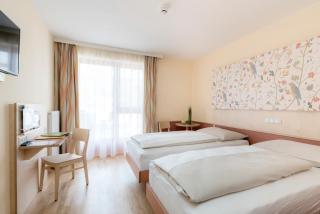 JUFA Hotel Stubenbergsee - Stubenberg - 9