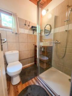 Les Grangeonnes, gîtes nature, piscine, bain nordique, sauna pour accueil familiale ou de groupe - Saint-Basile - 8