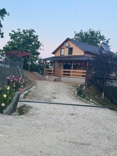 Cabana Șerban - Bughea de Jos - 6