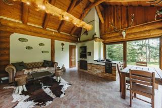 Šumavská Vlčice - Rybářský srub - 1