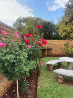 Pecan Stay Bed and Breakfast - 5