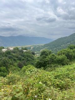 Hagvi Resort - 5