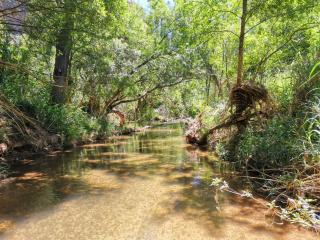 Casa Rural La Encalá - 9