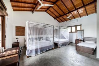Lion's Rest - Weligama - 5