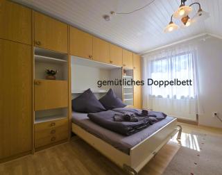 Silbermöwe - Wendtorf - 0