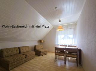 Silbermöwe - 6