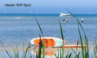 Silbermöwe - Wendtorf - 2