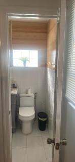 Hidden Cottage - Oldsmar - 9