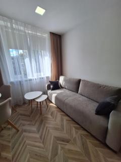 Apartament "Jasna Częstochowa" z Sauną w samym Centrum blisko Jasnej Góry - 9