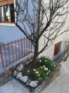 Affittacamere Stazione 24 - 6