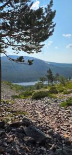 Ylläs Chalets IX 9502 - Kolari - 8