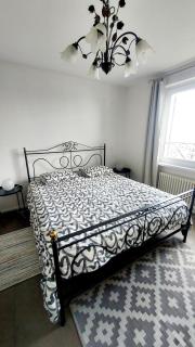 Entire apartments with stunning view - Cademario - 4