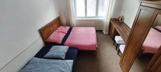 ROOM IN TREBON - 9