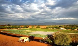 Lush 25 Acre Farm Stay I, Play & Serenity - 9
