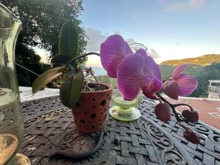 Casita Orquidea - Resolution - 6