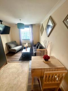 Birmingham City Centre Cosy Apartment - Birmingham - 6