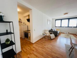 Entire Flat for you Schwetzingen,Mannheim & HD - 3