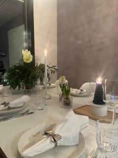 Arctic Riverside Villa - 3