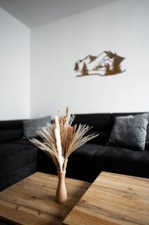 Apartmán BeVi - Loučná nad Desnou - 1