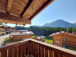 Nationalpark Chalet Löffelspitze - Neukirchen am Großvenediger - 9
