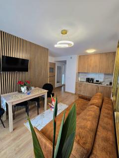 Apartament The Royal Suite Górski z garażem podziemnym w centrum - 7