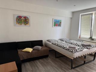Penthouse Apartment - Masarykovo - 2