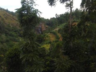 Nature's Glow Home Stay AND RESTAURANT - Ella - 9