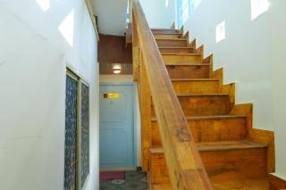 Solace by JNS Farms - - 6