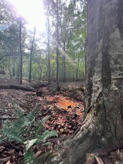 Beloved Cabin - Artistic Dome - Eatonton - 6