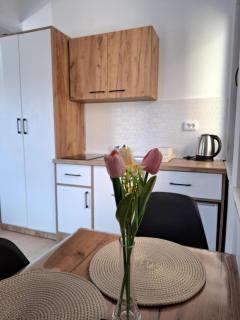 AGA studio apartments - 2