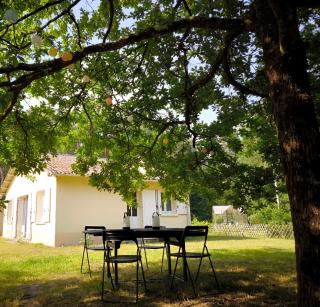 Maison forestière - 8