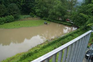 Hotel Restaurant Muckensee - Lorch - 5