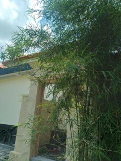 Takas ubud villa - 1