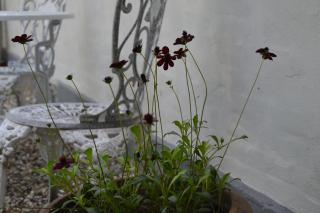 Vibes bed&breakfast - 3