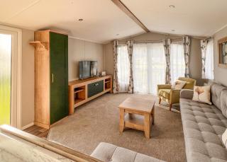 Fir Trees - Chester - 9