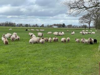 Landgoed Eik & Linde - 8