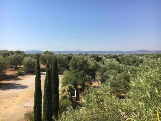 San Virgilio in Puglia - appartamento con giardino - Torre Canne - 2