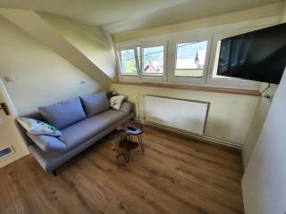 Vihar apartmaji - Bohinj - 7