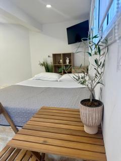 Olive tree studio ,Corfu Town - Agios Rokkos - 7