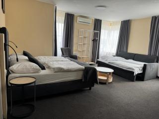 Hotel Tulipan Pruhonice - Průhonice - 9