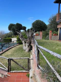 Villa Scafa Alta - Capo dʼOrlando - 8