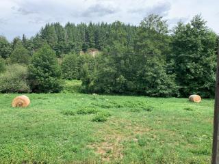 Dormez dans la chambre du meunier ! - 1