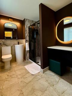 Old Farm Hotel - Birmingham - 3