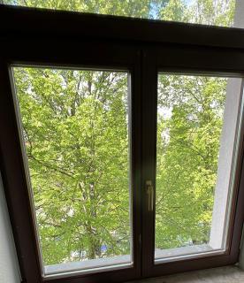 Moderne Citynahe Wohnung mit Parkmöglichkeiten - Chemnitz - 1