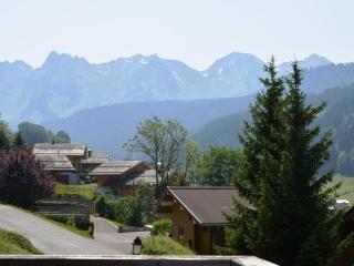 Appt 3 pièces au pied des Aravis, 6 couchages, Grand Bornand - FR-1-241-81 - Le Grand-Bornand - 2
