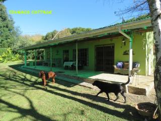 Touraco - Hogsback - 9