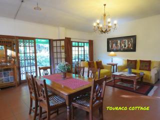 Touraco - 4